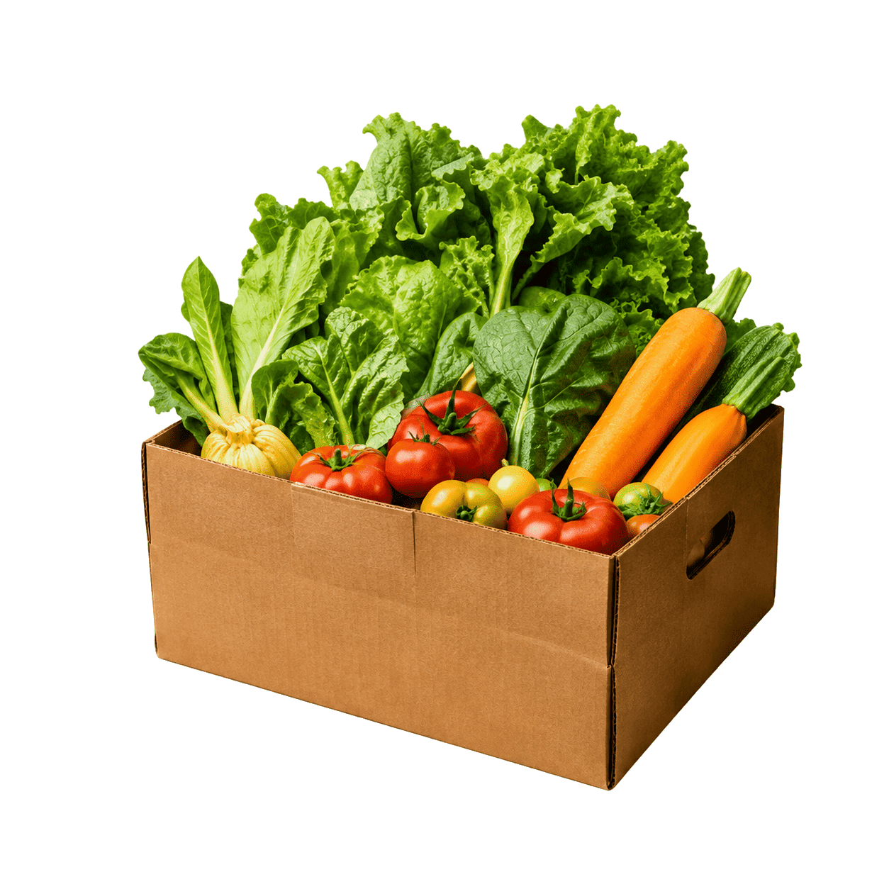 Feed a Community